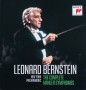berntein4