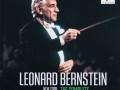 berntein4