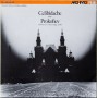 celibidache
