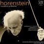 horenstein4