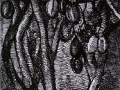 215Louis Soutter (1871-1942) Glace d’argent, miroir d’ébène Vers 1938 Encre noire et gouache rouge sur papier H. : 44 cm ; L. : 58,1 cm Lausanne, musée cantonal des Beaux-Arts